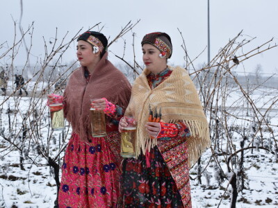 Vinceška Belje 2024