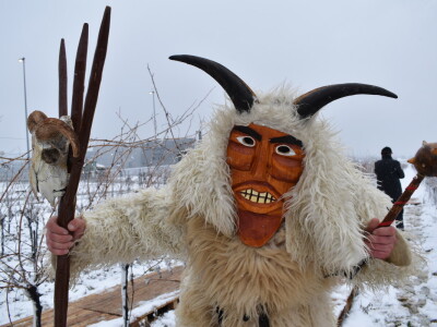 Vinceška Belje 2024