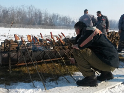 Vinceška 2017. Belje Vinceška 2017. Belje