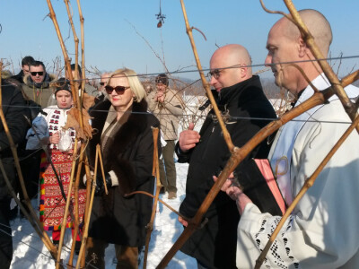 Vinceška 2017. Belje Vinceška 2017. Belje