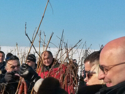 Ljerka Puljić Ljerka Puljić