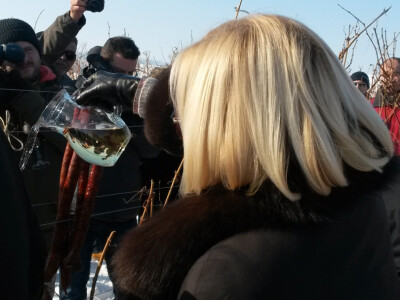 Ljerka Puljić Ljerka Puljić