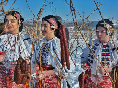 Vinceška 2017. Belje Vinceška 2017. Belje