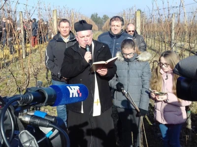 Vinceška FAZOS