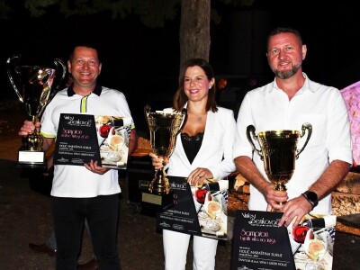VINFEST 2021 - Pothvat braće Fiolića: Za jedno te isto vino tri šampionske titule i Veliko zlato! VINFEST 2021 - Pothvat braće Fiolića: Za jedno te isto vino tri šampionske titule i Veliko zlato!