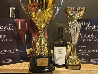 Vinarija Fiolić, Zadar