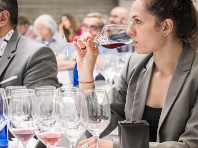 Vinitaly 2024: Najveća svjetska izložba vina 56. put u Veroni