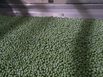 Todorić - ulaganje u Vinku d.d.