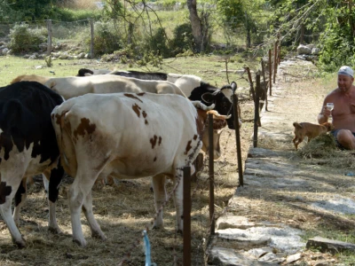 OPG Klapirić