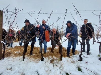 Vinkovo 2023