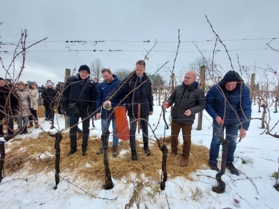 Vinkovo 2023