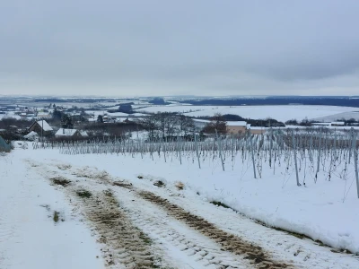 Vinkovo 2023