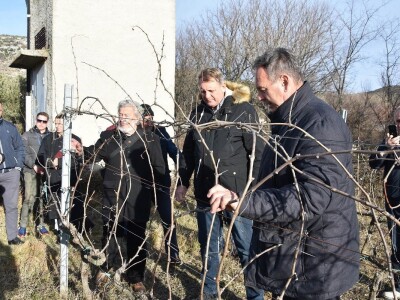VINKOVO U STANKOVCIMA - 22. degustacija vina Sjeverne Dalmacije Vinkovo 2019