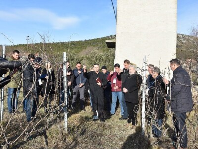 VINKOVO U STANKOVCIMA - 22. degustacija vina Sjeverne Dalmacije Vinkovo 2019