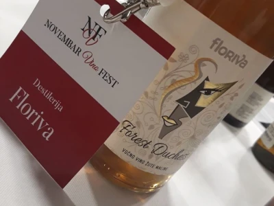 Vino Fest "FOREST EDITION"