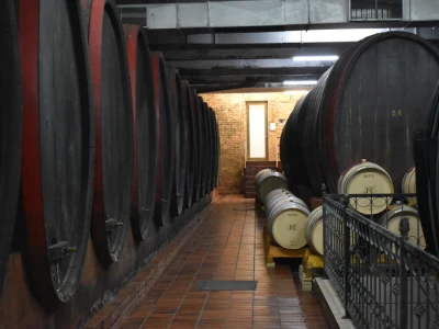 Vinogorje Erdut