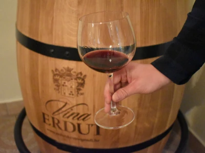 Vinogorje Erdut