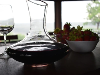 Vinogorje Erdut