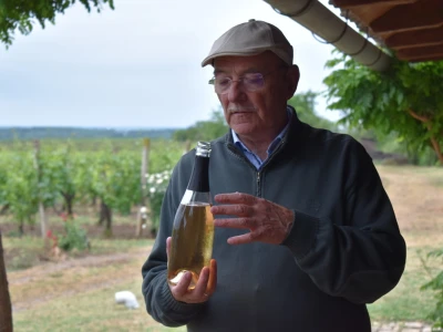 Vinogorje Erdut