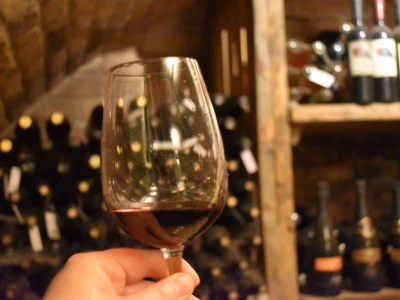 Vinogorje Erdut