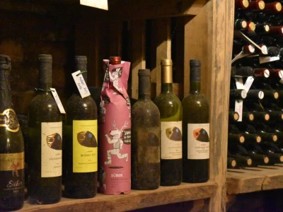 Vinogorje Erdut