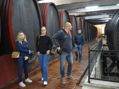 Vinogorje Erdut