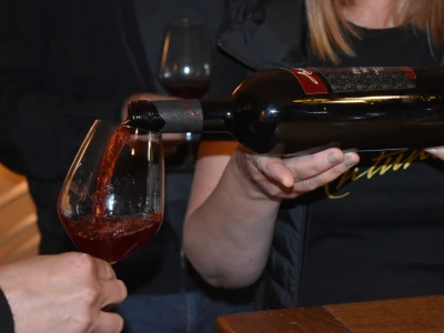 Vinogorje Erdut