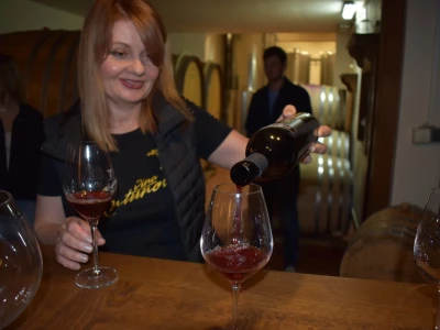 Vinogorje Erdut