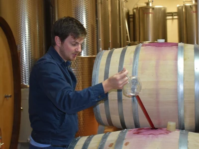 Vinogorje Erdut
