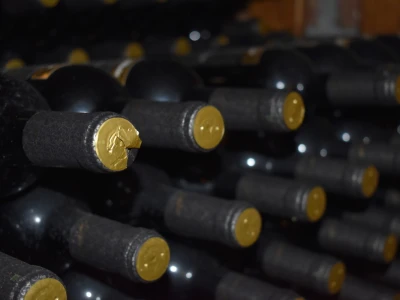 Vinogorje Erdut
