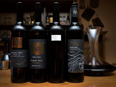 Vinogorje Komarna