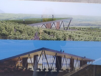 Vinograd "Knebu" na 900 mnv u Tomislavgradu