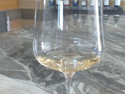 Vinograd "Knebu" na 900 mnv u Tomislavgradu