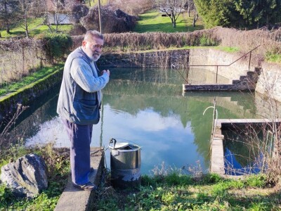 Vinograd u Starom Petrovom Selu