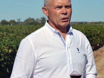 VINOGRADARSKI POLOŽAJ - Otkrivena tajna Nadinskog blata! VINOGRADARSKI POLOŽAJ - Otkrivena tajna Nadinskog blata!