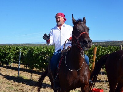 VINOGRADARSKI POLOŽAJ - Otkrivena tajna Nadinskog blata! VINOGRADARSKI POLOŽAJ - Otkrivena tajna Nadinskog blata!