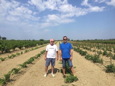 VINOGRADARSKI POLOŽAJ - Otkrivena tajna Nadinskog blata! VINOGRADARSKI POLOŽAJ - Otkrivena tajna Nadinskog blata!
