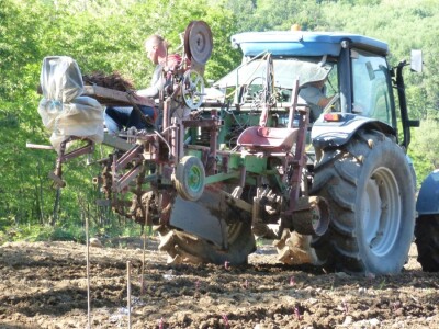 Vinogradarstvo i vinarstvo Krauthaker