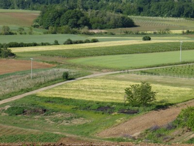 Vinogradarstvo i vinarstvo Krauthaker