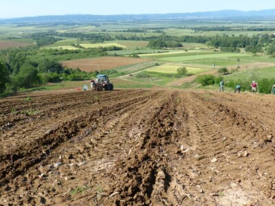 Vinogradarstvo i vinarstvo Krauthaker