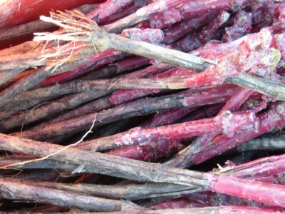 Vinogradarstvo i vinarstvo Krauthaker