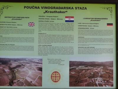 Vinogradarstvo i vinarstvo Krauthaker