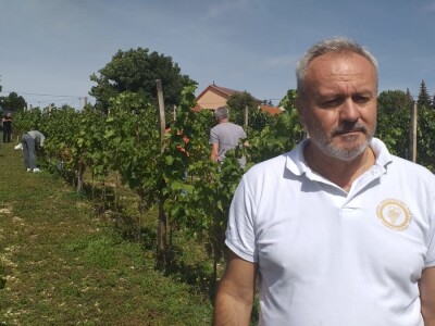 Vinogradarstvo i vinarstvo postaje turistički brend Tomislavgrada