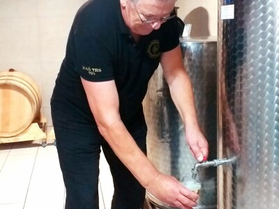 Vinogradarstvo i vinarstvo postaje turistički brend Tomislavgrada