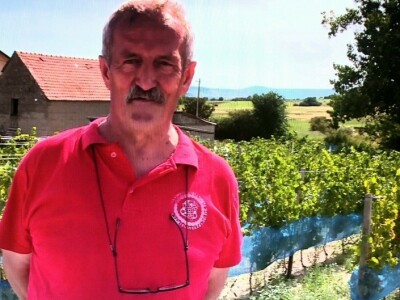 Vinogradarstvo i vinarstvo postaje turistički brend Tomislavgrada