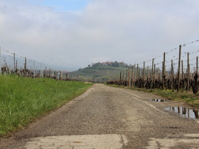 Vinarija Horscher, regija D'Alsace, Francuska