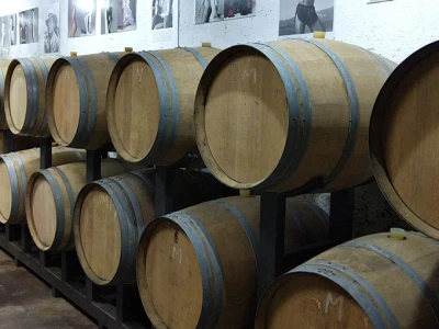 Vinogradi Guštin iz Slovenije