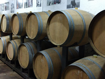 Vinogradi Guštin iz Slovenije