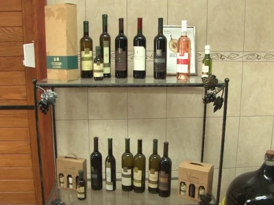 Vinogradi i vino