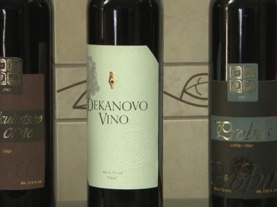 Vinogradi i vino